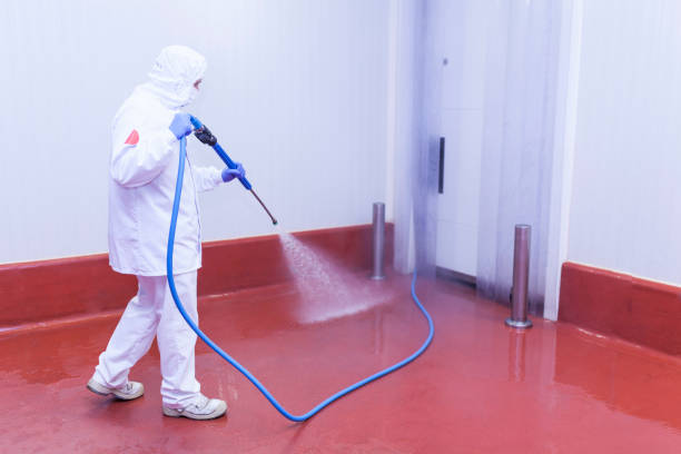 Best Factory Floor Cleaning  in Elmira Heights, NY