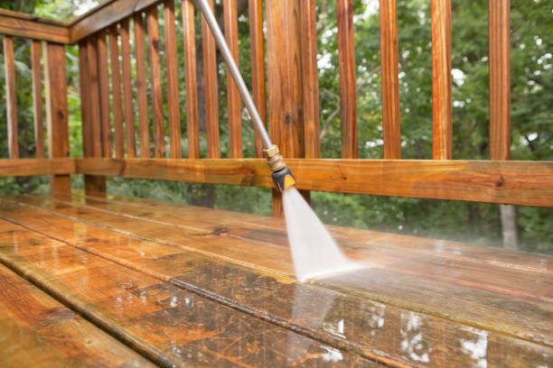 Best Gutter Cleaning  in Elmira Heights, NY